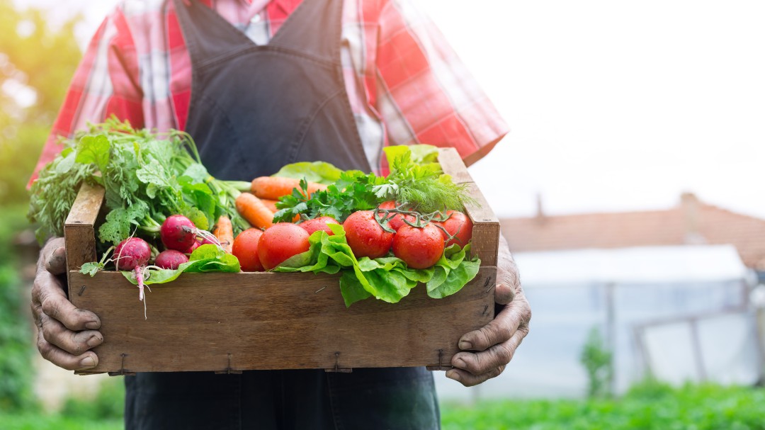 Gastronomía Sostenible
Compromiso de los colombianos del campo a la mesa