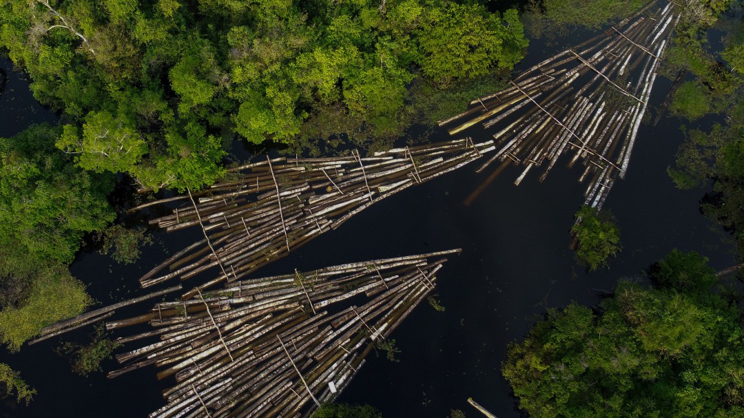 Brasil despliega militares en Amazonas para combatir deforestación