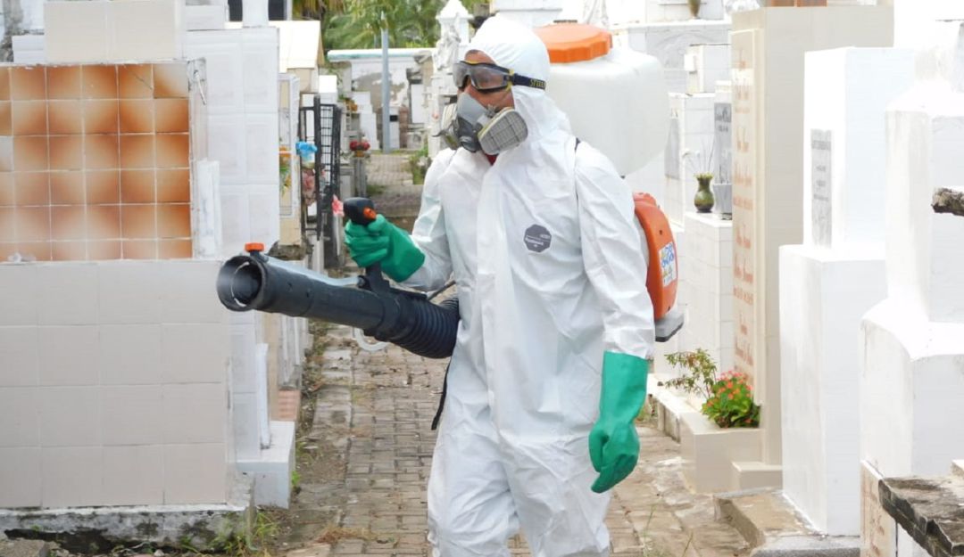 Los camposantos serán intervenidos para garantizar entornos seguros y controlar microorganismos, plagas y animales silvestres Los camposantos serán intervenidos para garantizar entornos seguros y controlar microorganismos, plagas y animales silvestres