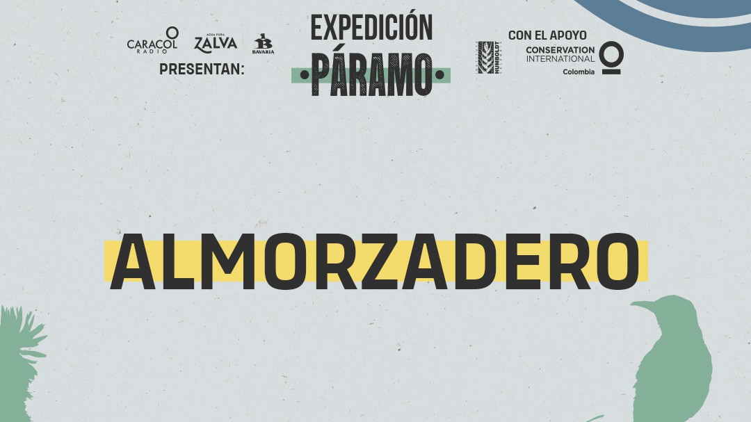 Almorzadero: la cuna de los cóndores