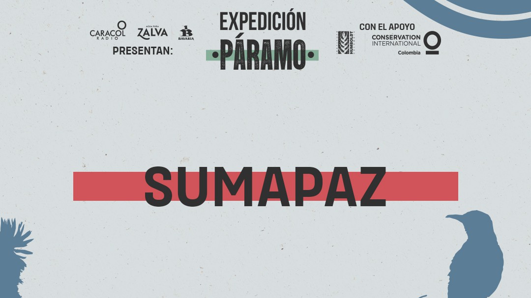 Sumapaz: el páramo más grande del mundo