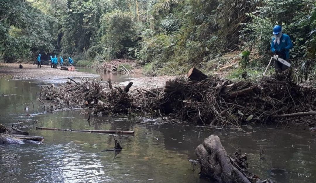 Limpieza de la cuenca del río León Limpieza de la cuenca del río León