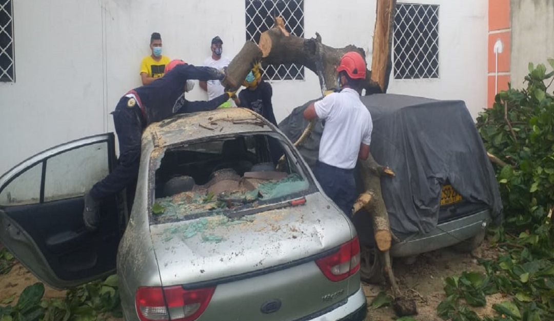 Estragos de los fuertes vientos en Soledad. Estragos de los fuertes vientos en Soledad.