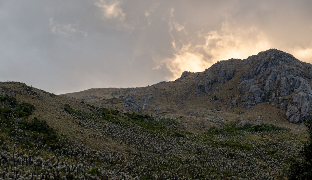 Un estudio del Instituto Humboldt afirma que aproximadamente 1,5 millones de personas de la región dependen del agua que almacena este páramo Un estudio del Instituto Humboldt afirma que aproximadamente 1,5 millones de personas de la región dependen del agua que almacena este páramo
