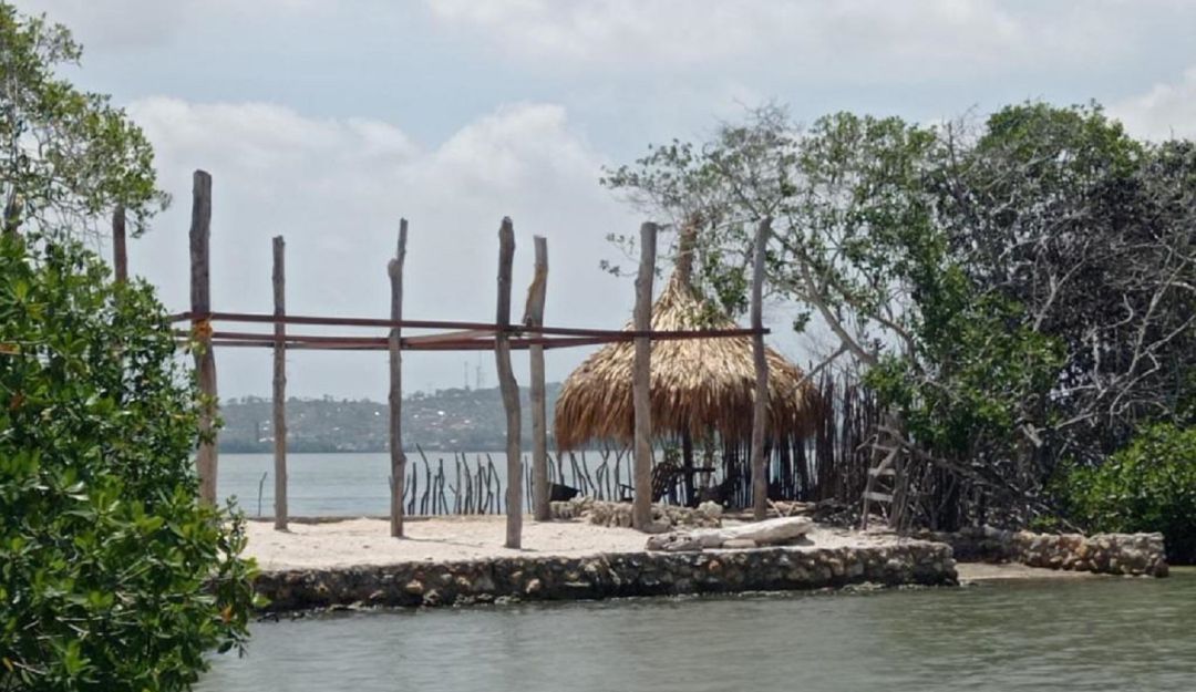 La autoridad marítima evidenció la tala y quema de mangle en el sector conocido como Playa Los Muertos La autoridad marítima evidenció la tala y quema de mangle en el sector conocido como Playa Los Muertos