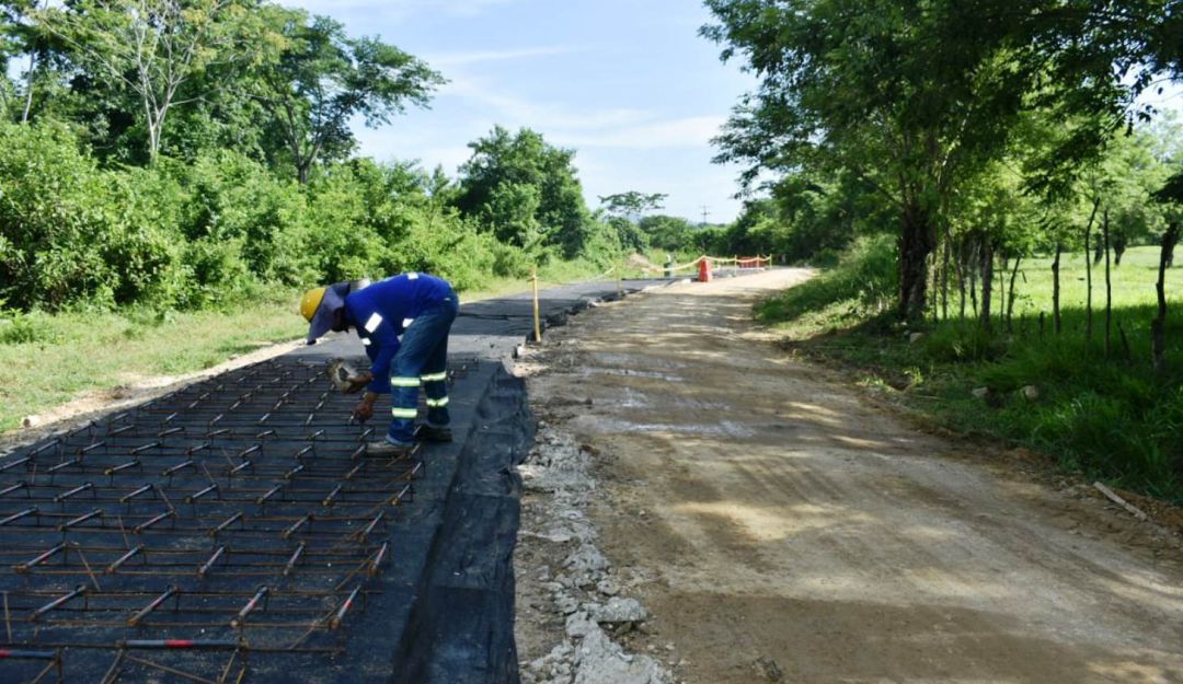 Proyectos productivos por $5 mil millones en el PDET El Carmen de Bolívar Proyectos productivos por $5 mil millones en el PDET El Carmen de Bolívar