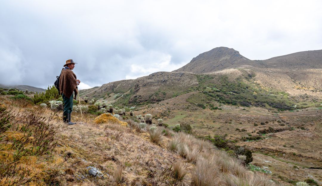 Más de 1.200 familias campesinas se han beneficiado con este proyecto a través de recursos y materiales para realizar una producción sostenible Más de 1.200 familias campesinas se han beneficiado con este proyecto a través de recursos y materiales para realizar una producción sostenible