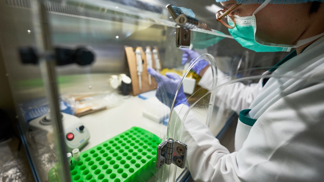 Coronavirus en Colombia: 1.387 nuevos casos y 33 fallecidos
