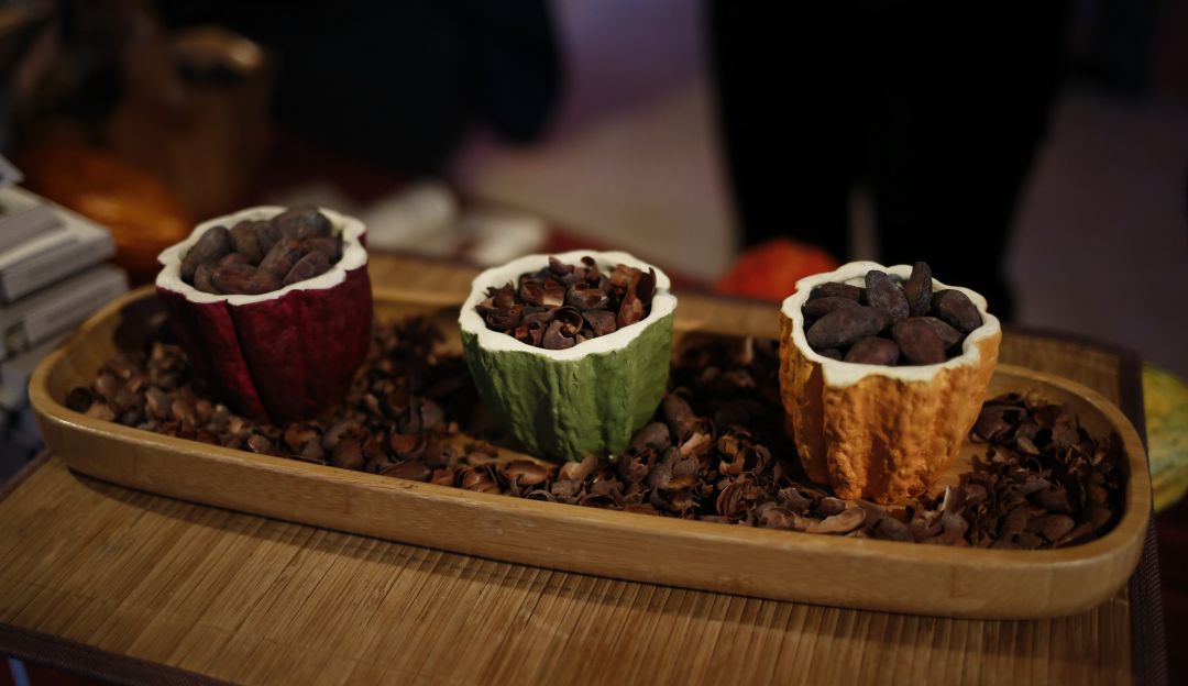 Granos de cacao Granos de cacao