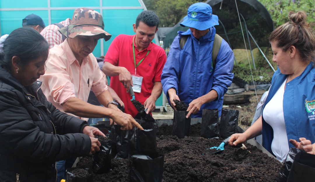Las bolsas deben llenarse antes de realizar el trasplante para asegurar que las plantas no duren mucho tiempo por fuera de la tierra. Las bolsas deben llenarse antes de realizar el trasplante para asegurar que las plantas no duren mucho tiempo por fuera de la tierra.