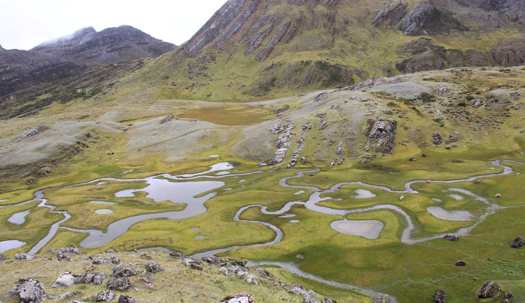 Hay mucho por conocer en este páramo desconocido para muchos colombianos, como las más de 100 lagunas de aguas cristalinas y las cerca de 700 especies de plantas y animales que allí habitan Hay mucho por conocer en este páramo desconocido para muchos colombianos, como las más de 100 lagunas de aguas cristalinas y las cerca de 700 especies de plantas y animales que allí habitan