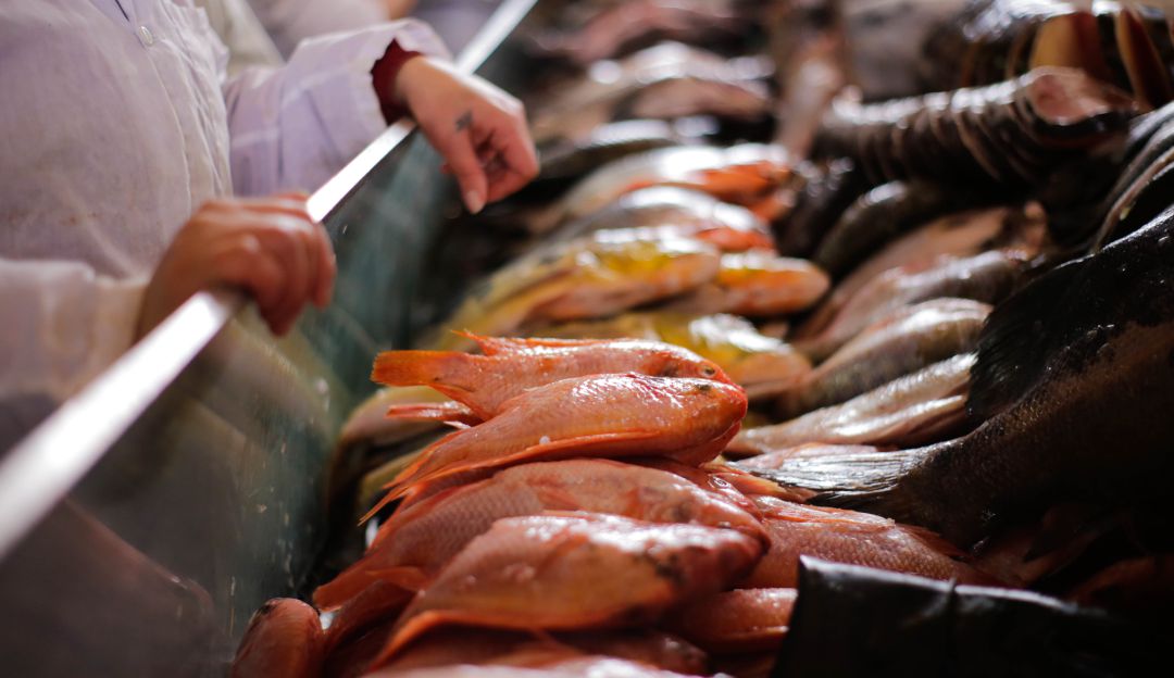 Pescados. Imagen de referencia Pescados. Imagen de referencia