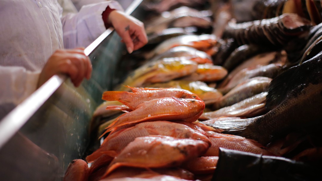 El pescado, proteína que patrocina a los deportistas olímpicos colombianos