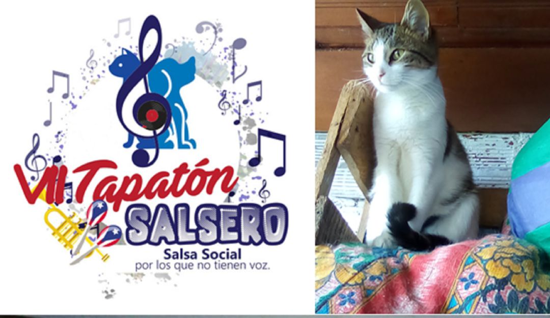 Imágenes tomadas del FB del Refugio Ángeles de la Calle Imágenes tomadas del FB del Refugio Ángeles de la Calle