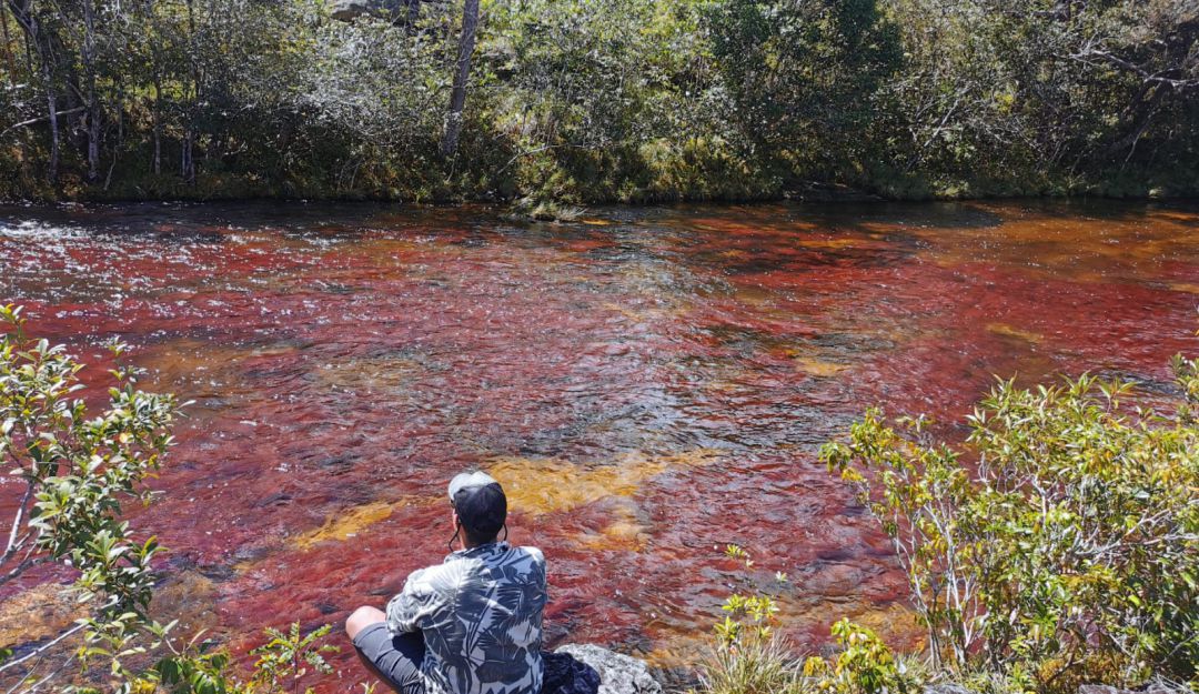 Caño cristales Caño cristales