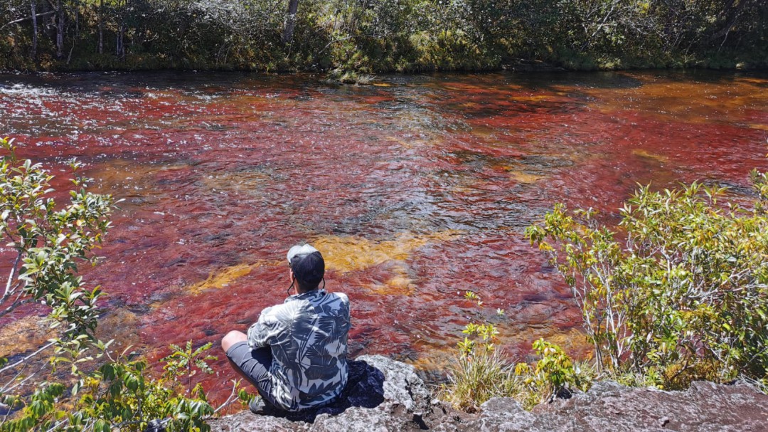 Vuelve el turismo a Caño Cristales como apuesta de reactivación