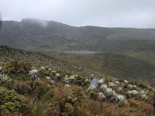 Las lagunas de Siecha, en el páramo de Chingaza, eran uno de los sitios donde los muiscas hacían sus rituales sagrados. Las lagunas de Siecha, en el páramo de Chingaza, eran uno de los sitios donde los muiscas hacían sus rituales sagrados.