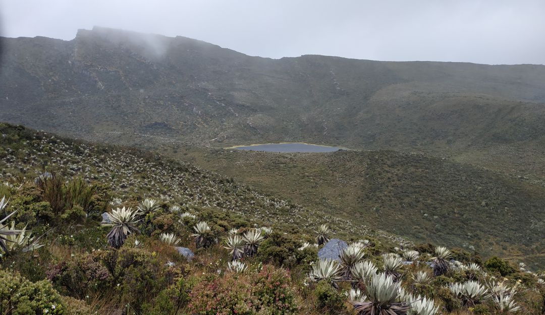 Las lagunas de Siecha, en el páramo de Chingaza, eran uno de los sitios donde los muiscas hacían sus rituales sagrados Las lagunas de Siecha, en el páramo de Chingaza, eran uno de los sitios donde los muiscas hacían sus rituales sagrados