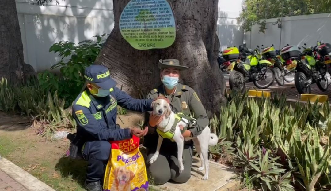 La jornada se realizó en el barrio 7 de Agosto La jornada se realizó en el barrio 7 de Agosto
