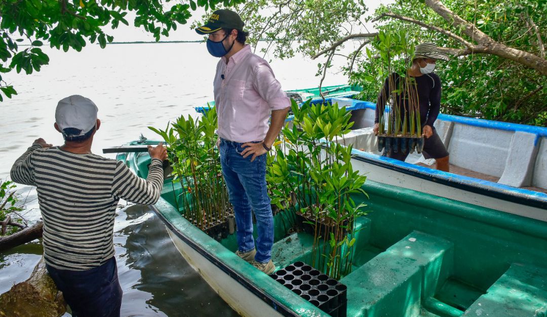 La Ciénaga de Mallorquín será recuperada para el ecoturismo. La Ciénaga de Mallorquín será recuperada para el ecoturismo.