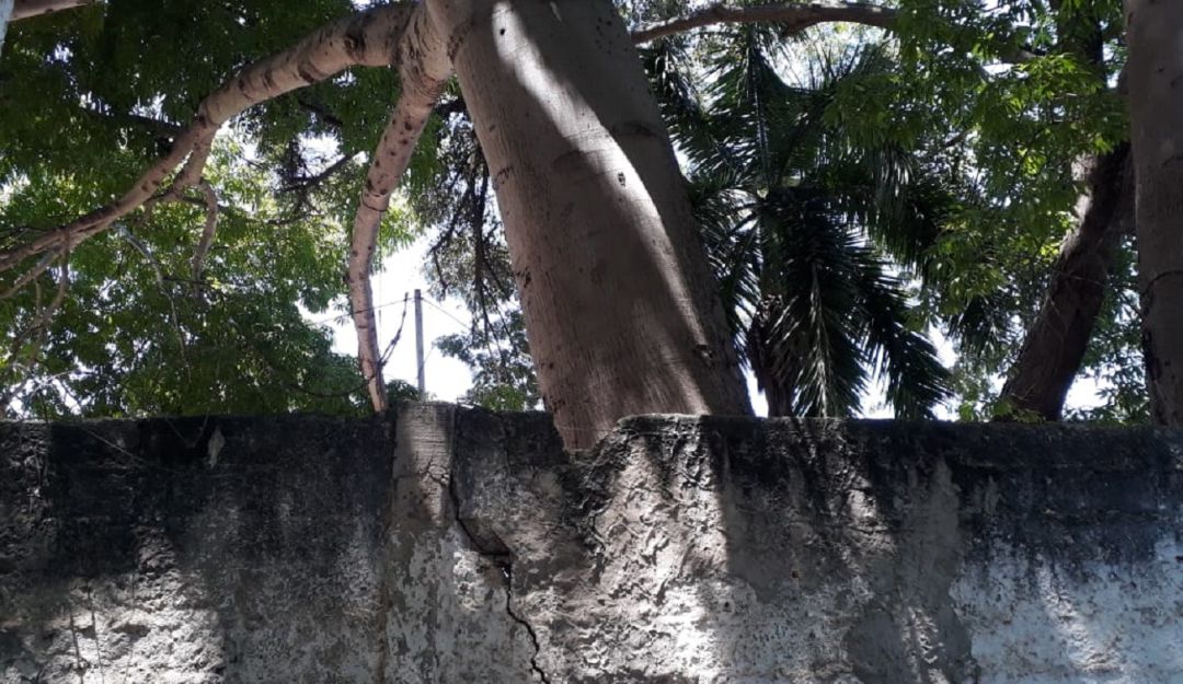 El caso fue denunciado por los habitantes del sector San José Obrero del barrio Olaya Herrera El caso fue denunciado por los habitantes del sector San José Obrero del barrio Olaya Herrera