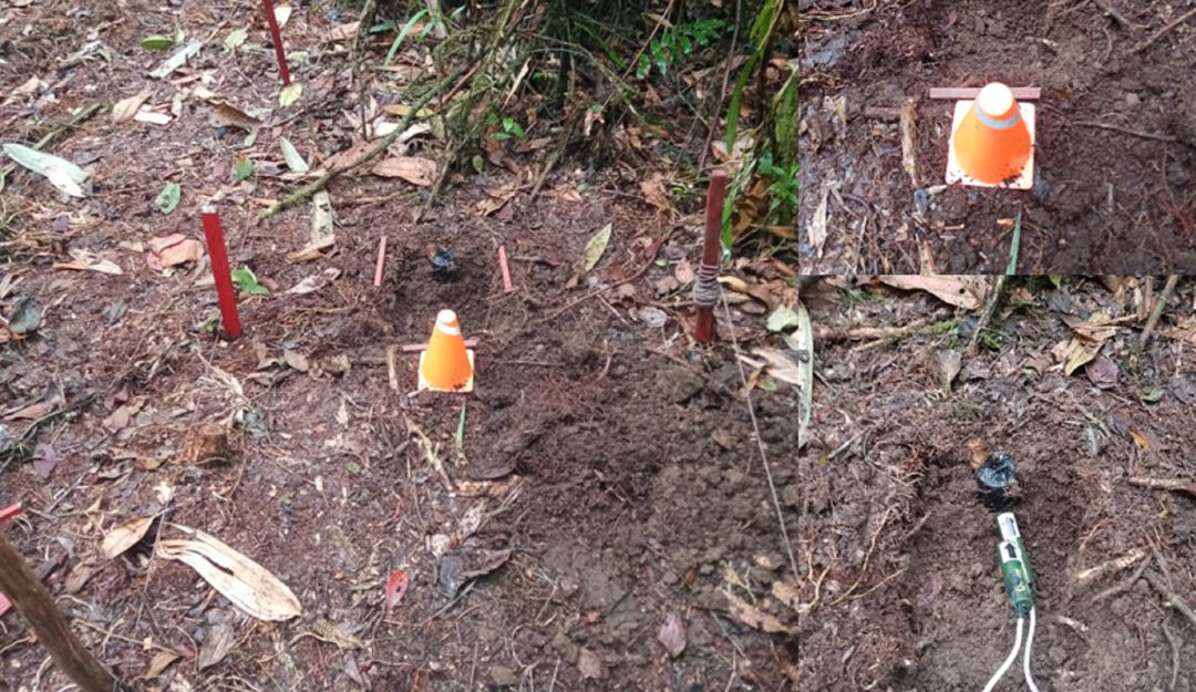 Minas antipersonal destruidas en Samaná Minas antipersonal destruidas en Samaná