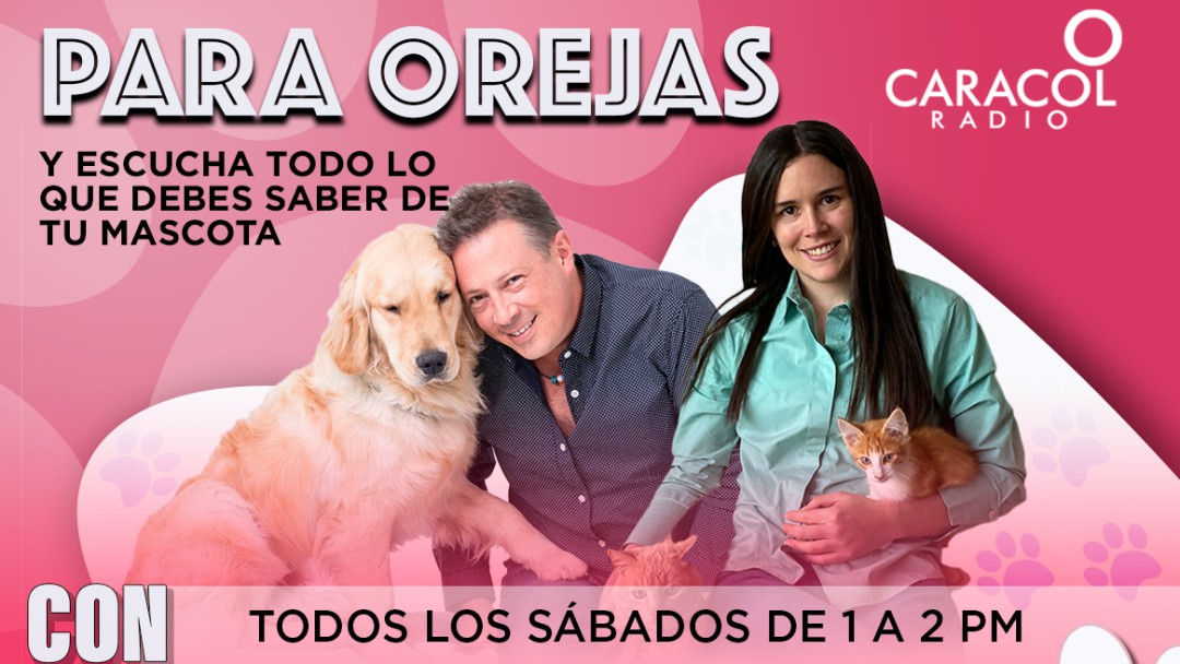 Escuche el programa Mascotas Caracol 24 de Julio