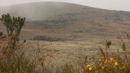 Inmensidad de frailejones y agua en el páramo de Sumapaz, el más grande del mundo Inmensidad de frailejones y agua en el páramo de Sumapaz, el más grande del mundo