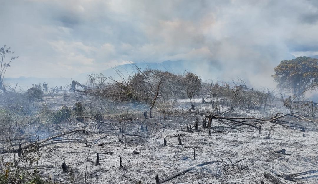 20 municipios del Huila en alerta por incendios forestales 20 municipios del Huila en alerta por incendios forestales