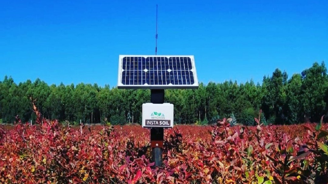 Tecnología digital para productividad agrícola llega a Colombia