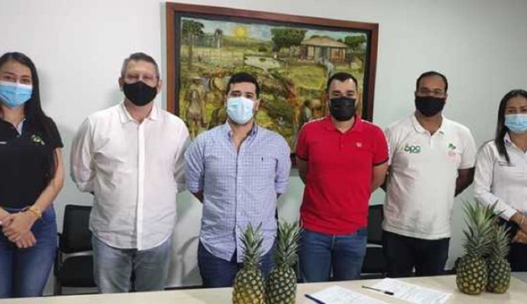 Firma del convenio para compra de piñas en el Huila. Firma del convenio para compra de piñas en el Huila.
