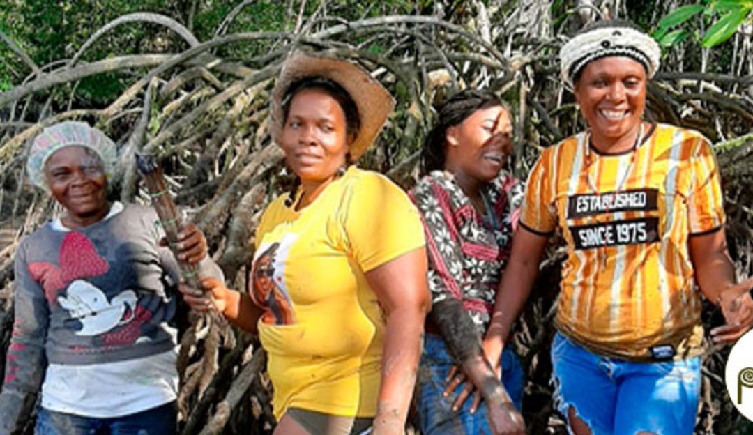 Socialización de proyectos PDET muestran avances de género en Cauca Socialización de proyectos PDET muestran avances de género en Cauca