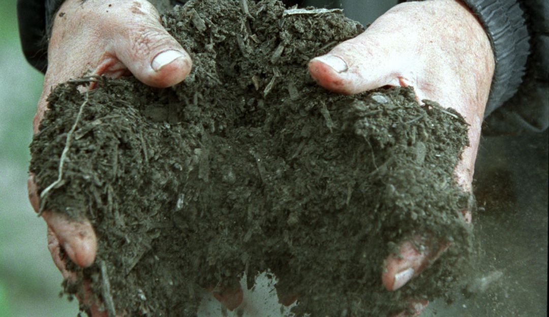 Desechos húmedos triturados para generar energía (a partir del calor) y abono a partir de la descomposición. Desechos húmedos triturados para generar energía (a partir del calor) y abono a partir de la descomposición.