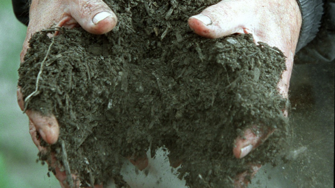 Buen manejo de residuos orgánicos genera utilidades y protege el planeta