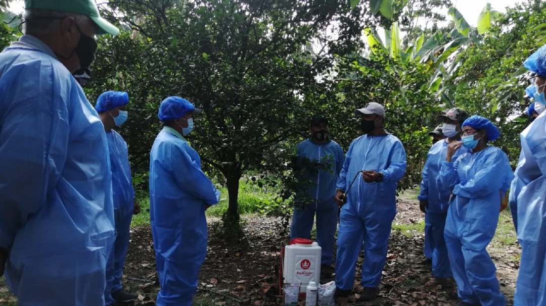 Campesinos de los Montes de María se capacitaron en manejo de plagas