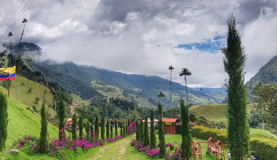 Valle de Cocora Valle de Cocora