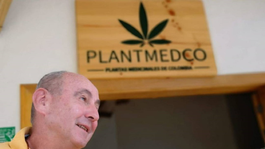 Productores de cannabis del Quindío optimistas por anuncios del gobierno