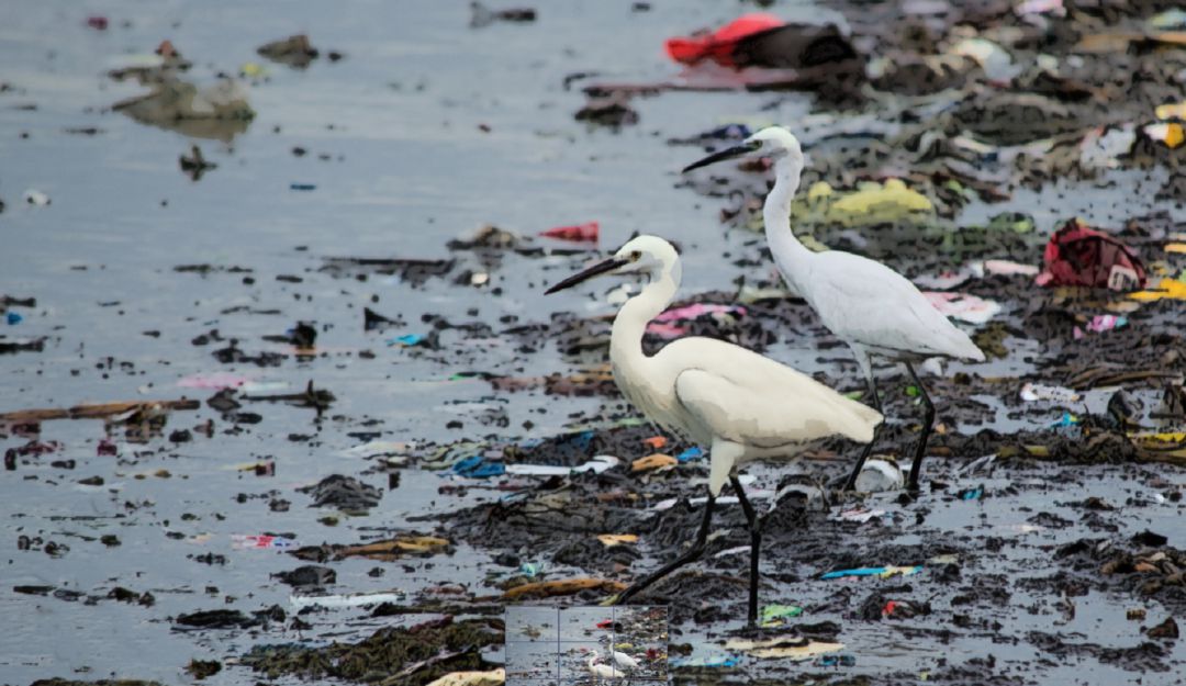 Estos problemas se presentan en puntos críticos como El Campestre, Torices, avenida El Lago, avenida Pedro de Heredia y Bazurto Estos problemas se presentan en puntos críticos como El Campestre, Torices, avenida El Lago, avenida Pedro de Heredia y Bazurto
