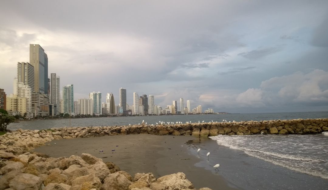 Los sectores de energías renovables, software y servicios IT y petroquímico plástico han sido los de mayor interés Los sectores de energías renovables, software y servicios IT y petroquímico plástico han sido los de mayor interés