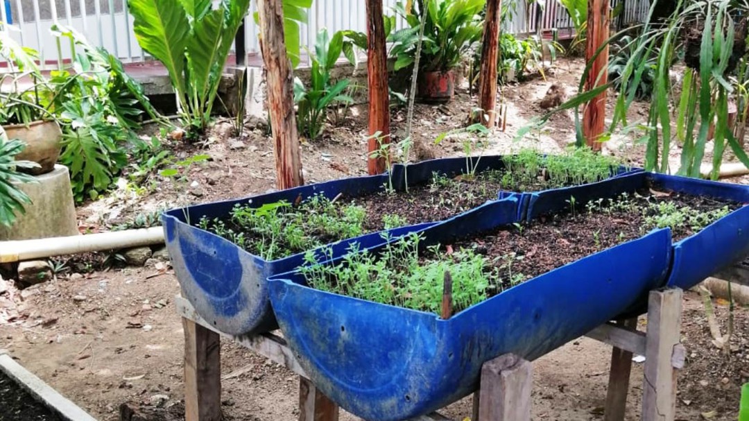 Inició proyecto de huertas urbanas en el Hogar Geriátrico La Milagrosa