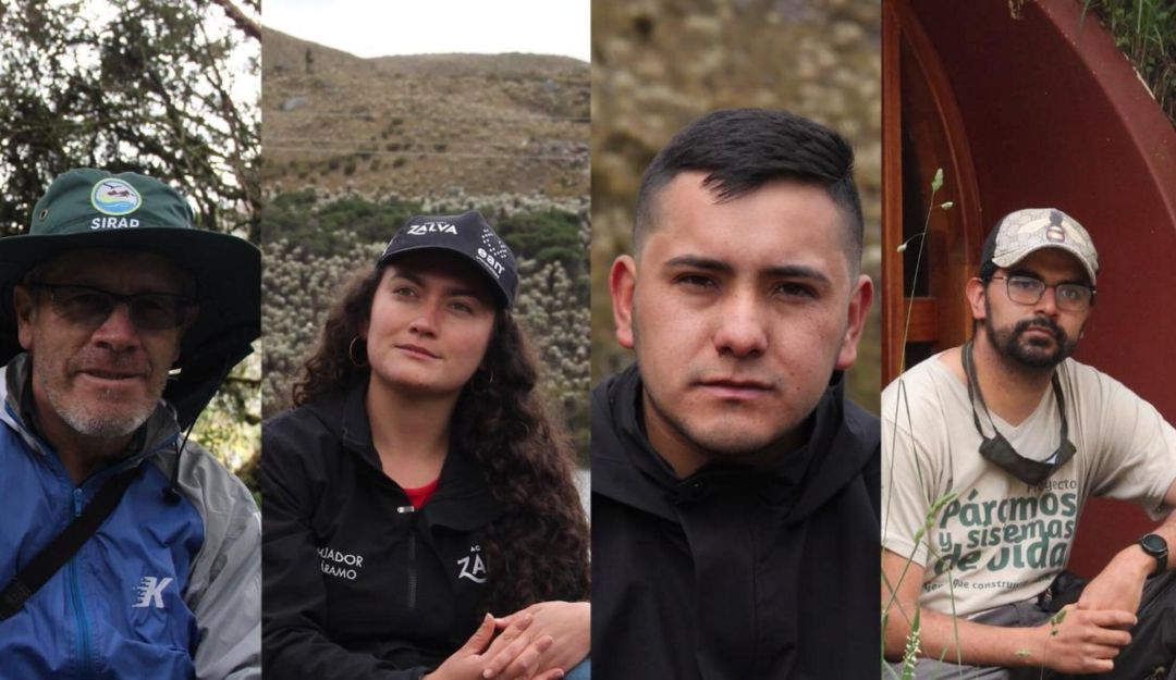 Estos héroes han dedicado su vida a cuidar el páramo que alberga más especies de frailejones en el planeta: Guantiva-La Rusia Estos héroes han dedicado su vida a cuidar el páramo que alberga más especies de frailejones en el planeta: Guantiva-La Rusia