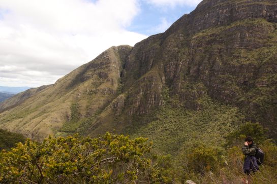 Expedición Páramo estuvo en uno de los sectores que recorre Pensilvania, un sitio repleto de bosque altoandino del páramo Guantiva-La Rusia Expedición Páramo estuvo en uno de los sectores que recorre Pensilvania, un sitio repleto de bosque altoandino del páramo Guantiva-La Rusia