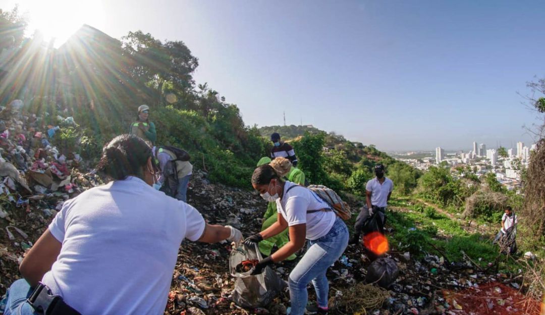 Para inicio de agosto se prevé una siembra masiva de 930 nuevos árboles, dándole continuidad a las acciones del EPA Cartagena Para inicio de agosto se prevé una siembra masiva de 930 nuevos árboles, dándole continuidad a las acciones del EPA Cartagena