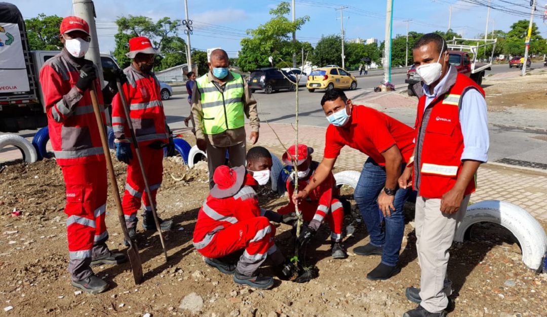 La compañía erradicó un foco de contaminación para las comunidades contiguas y los transeúntes de esta avenida principal La compañía erradicó un foco de contaminación para las comunidades contiguas y los transeúntes de esta avenida principal