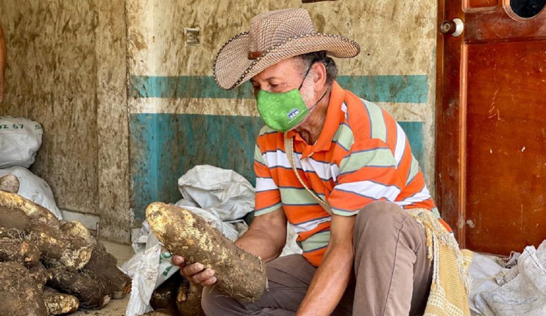Los campesinos de la Alta Montaña de El Carmen de Bolívar, van a poder comercializar sus productos directamente Los campesinos de la Alta Montaña de El Carmen de Bolívar, van a poder comercializar sus productos directamente