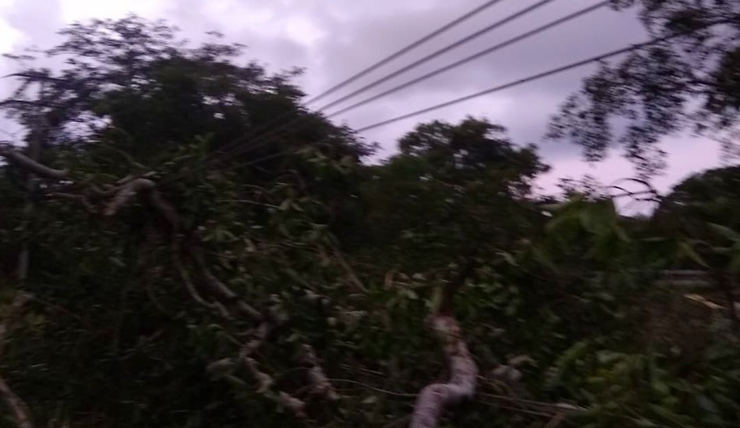 Seis comunidades de Sucre y Bolívar sin energía eléctrica por las lluvias Seis comunidades de Sucre y Bolívar sin energía eléctrica por las lluvias