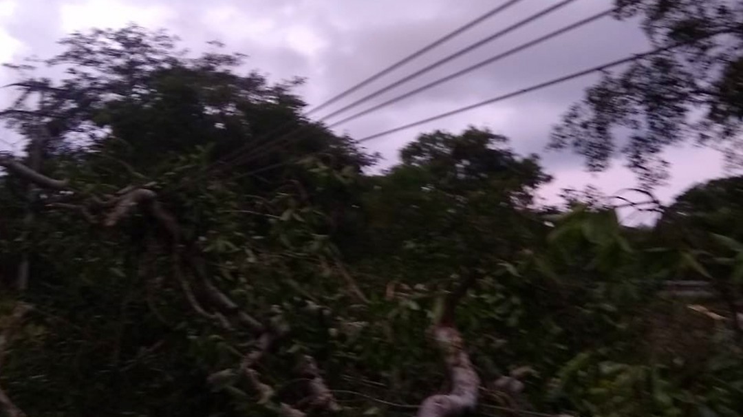 Seis comunidades de Sucre y Bolívar sin energía eléctrica por las lluvias