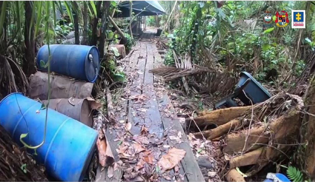 Destruyen complejo narcotraficante de disidencias Farc en reserva forestal, en Nariño Destruyen complejo narcotraficante de disidencias Farc en reserva forestal, en Nariño