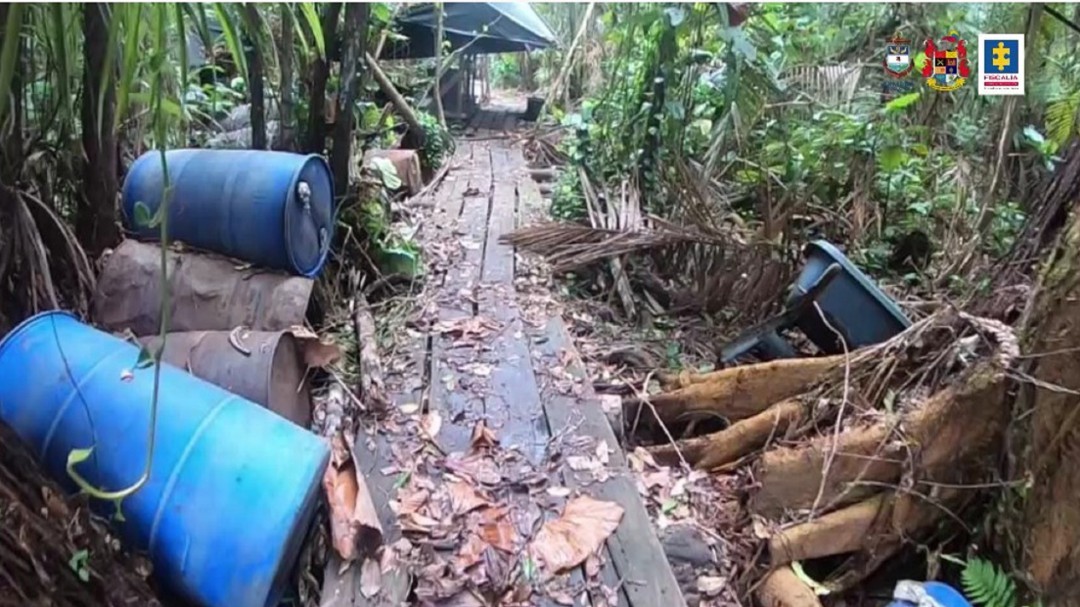 Destruyen complejo narcotraficante de disidencias Farc en reserva forestal