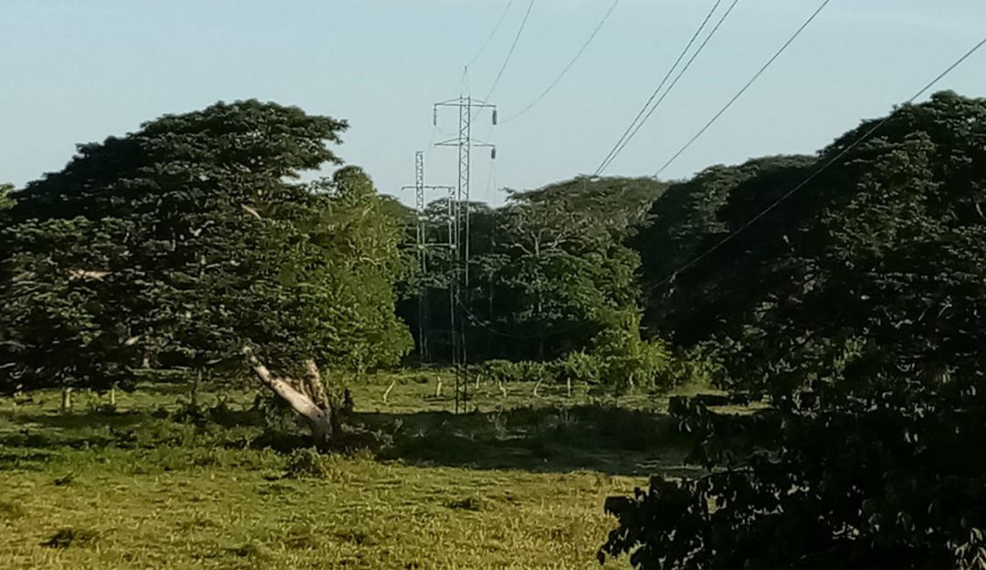 El nuevo caso se presentó a 16 kilómetros de la subestación Ternera antes de llegar al municipio de Arjona El nuevo caso se presentó a 16 kilómetros de la subestación Ternera antes de llegar al municipio de Arjona